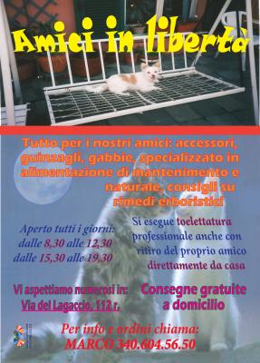Volantini e stampati — Volantini e stampati