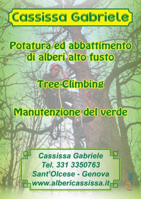 Potatura e abbattimento alberi alto fusto. manutenzione del verde — Volantini e stampati