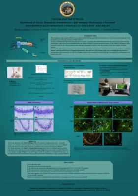 Poster convention — Grandi formati